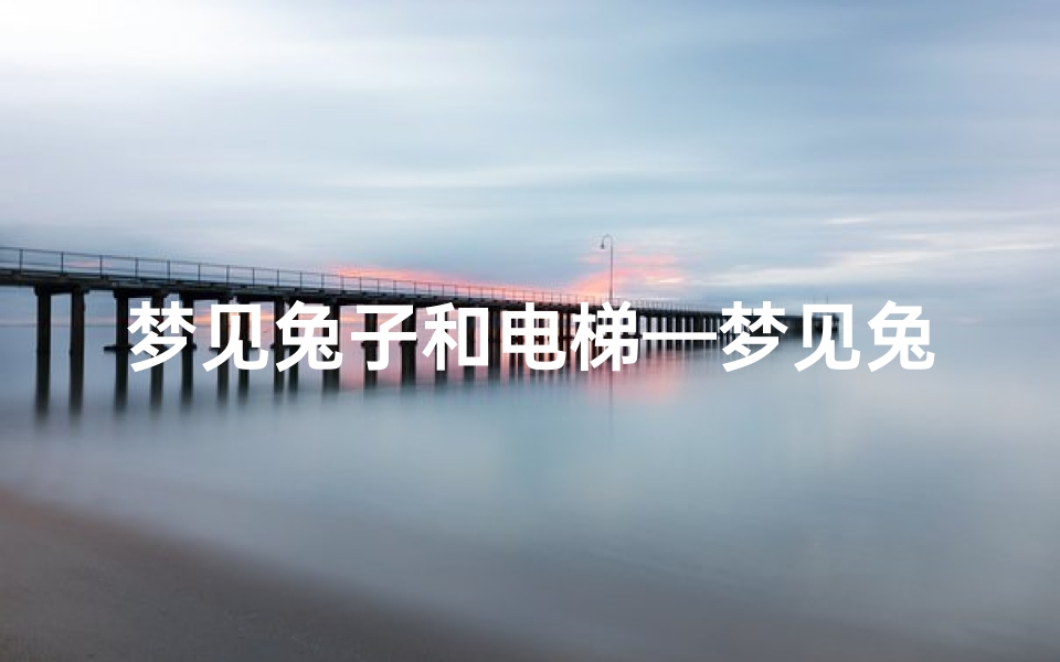 梦见兔子和电梯—梦见兔子和我很亲热