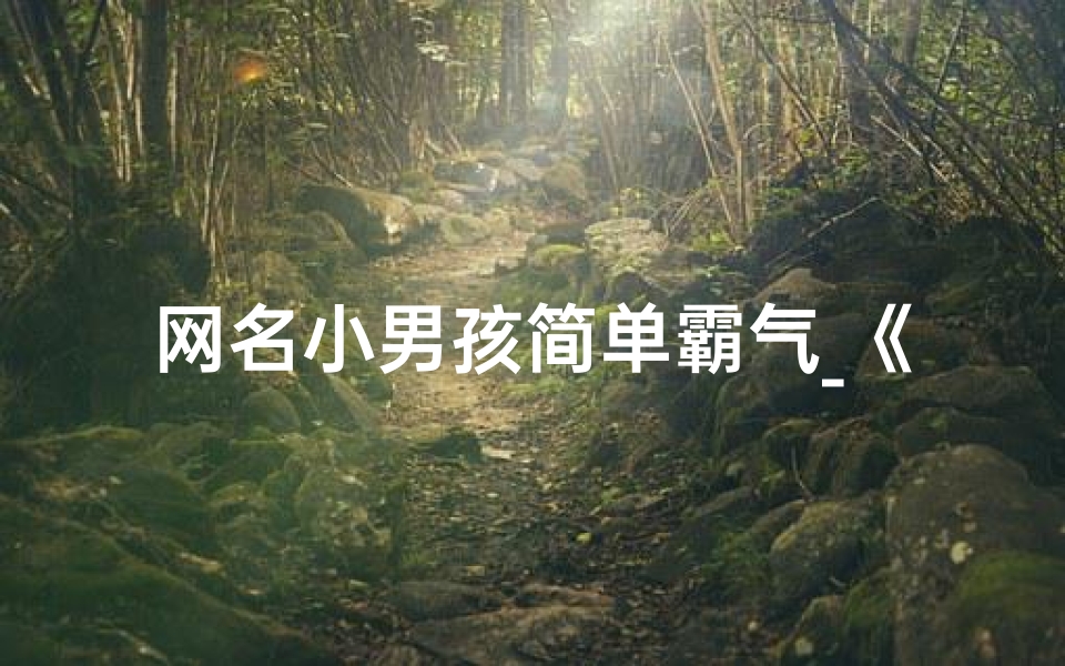 网名小男孩简单霸气_《网名小孩:揭秘可爱男孩的温馨世界》