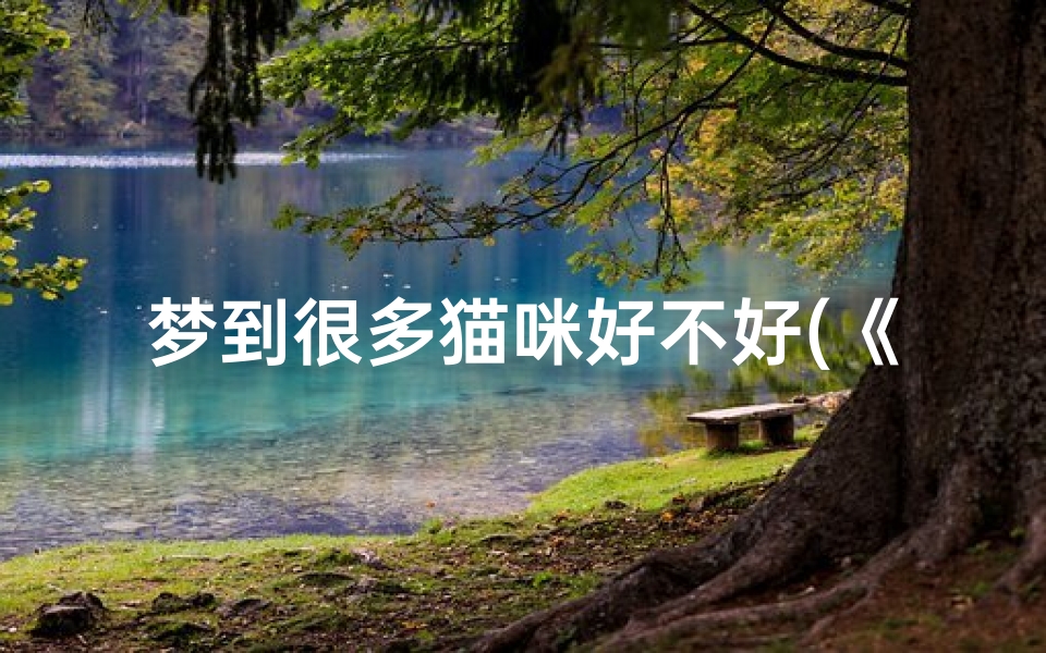 梦到很多猫咪好不好(《梦境中猫咪成群:吉凶预兆揭秘》)