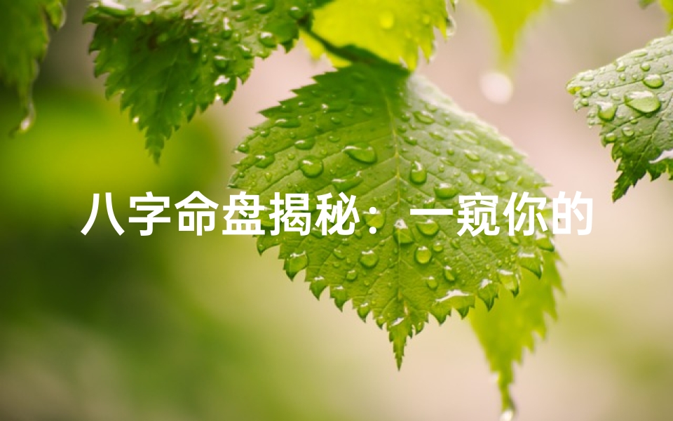 八字命盘揭秘:一窥你的独特长相之谜