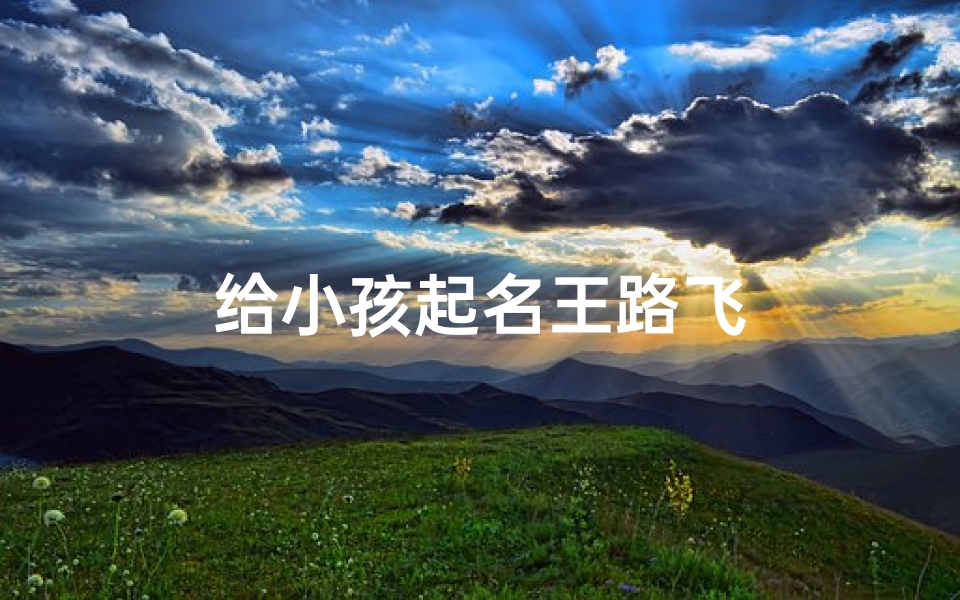 给小孩起名王路飞