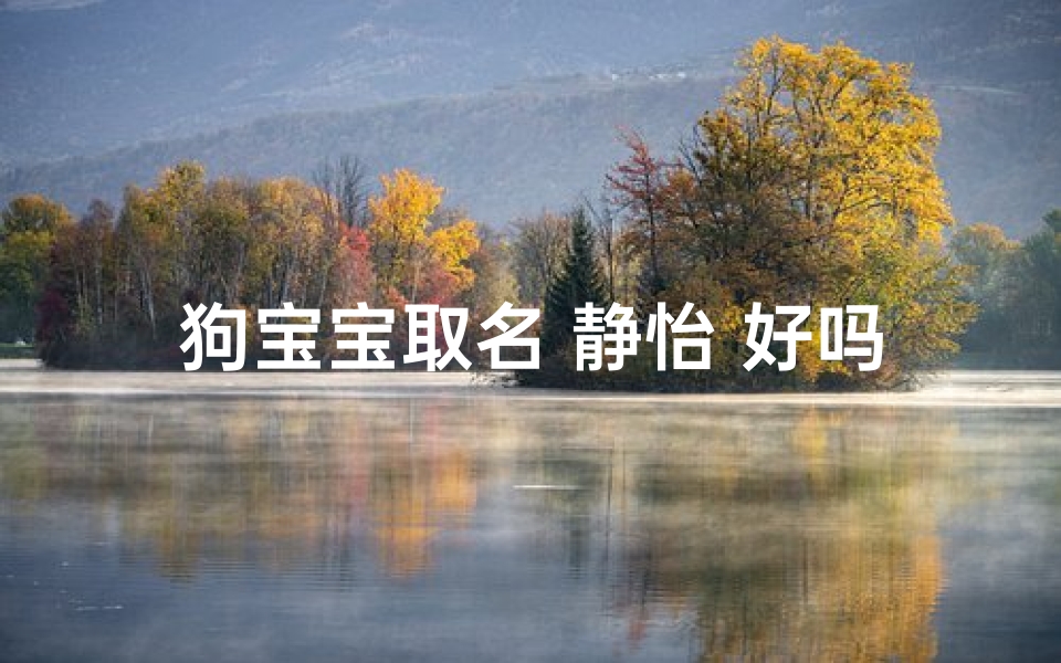 狗宝宝取名 静怡 好吗(静怡名字有多少人使用)