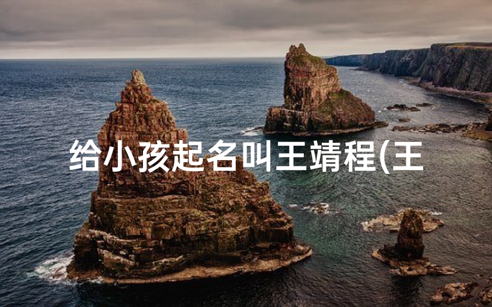 给小孩起名叫王靖程(王靖取名字男孩)