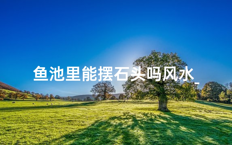 鱼池里能摆石头吗风水_鱼池里能摆石头吗风水好吗