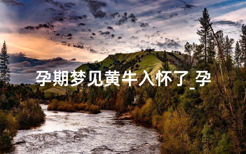 孕期梦见黄牛入怀了_孕妇梦见黄牛下崽子生男生女