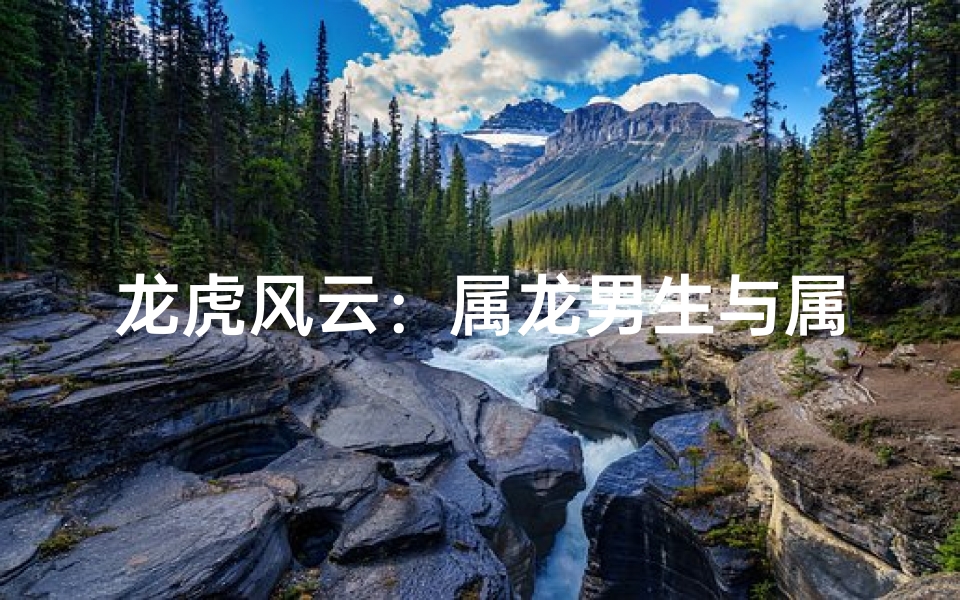 龙虎风云:属龙男生与属虎女生的完美搭配