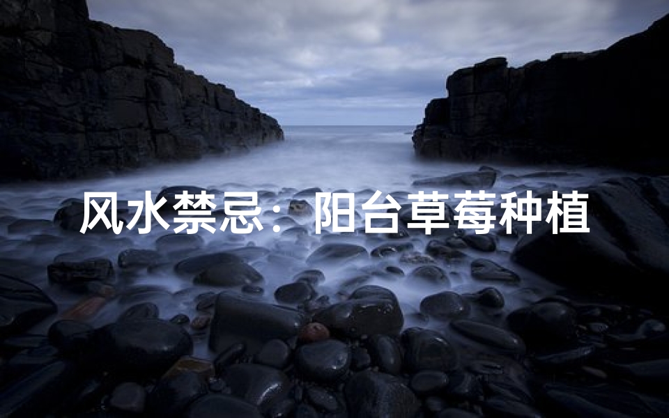 风水禁忌:阳台草莓种植之谜