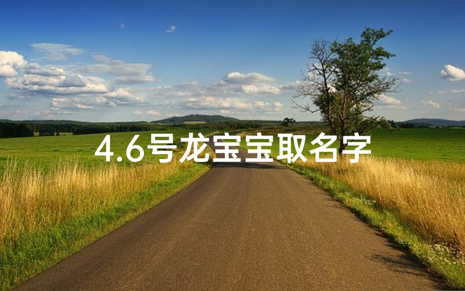 4.6号龙宝宝取名字