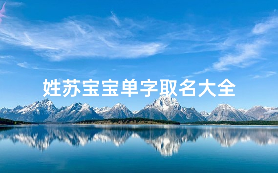 姓苏宝宝单字取名大全