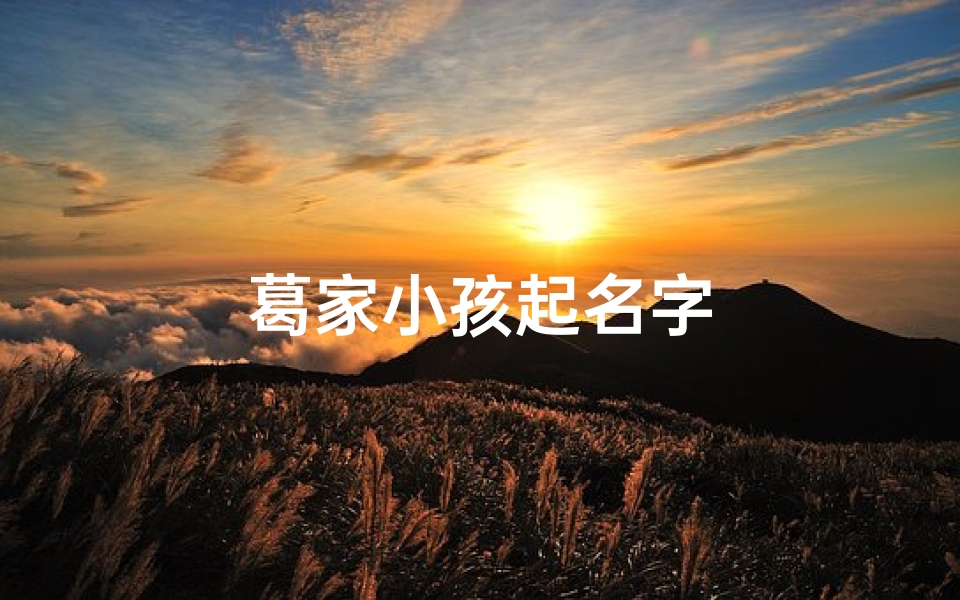 葛家小孩起名字