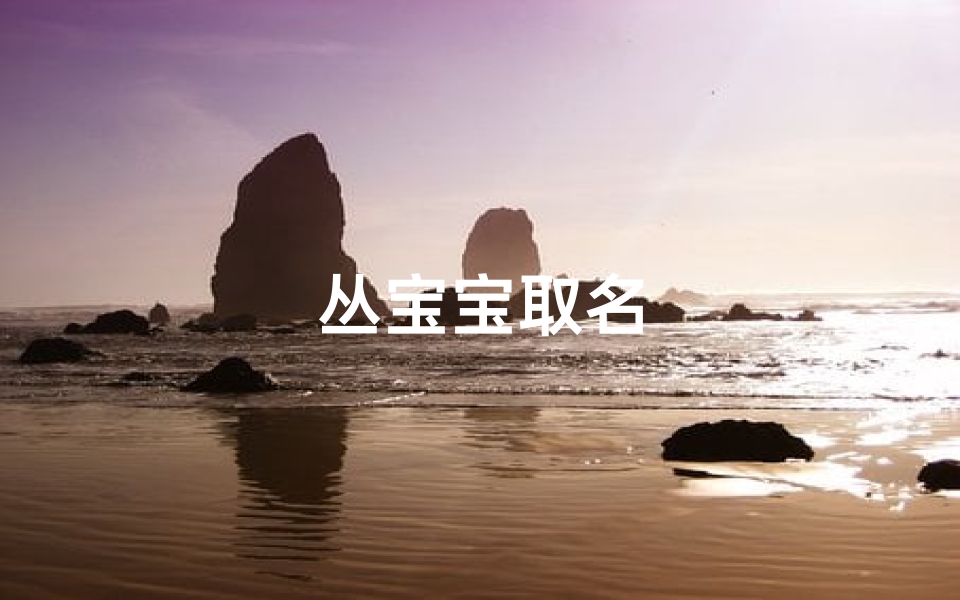丛宝宝取名