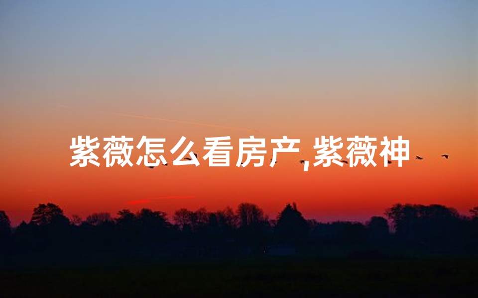 紫薇怎么看房产,紫薇神断:揭秘阴宅阳宅吉凶奥秘-优贝算卦网
