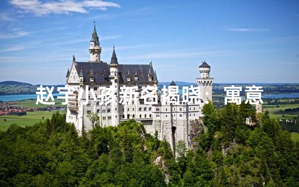 赵宇小孩新名揭晓:寓意美好未来