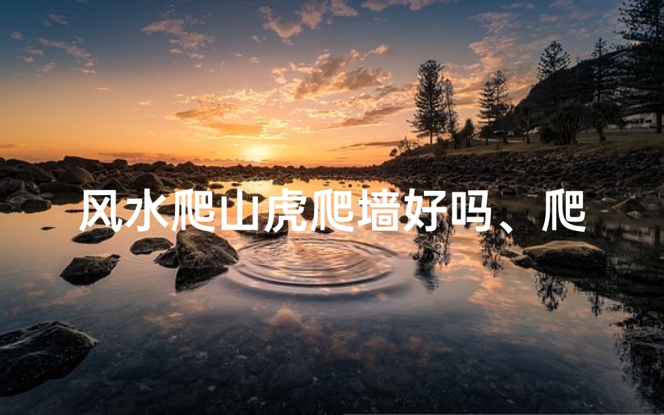 风水爬山虎爬墙好吗、爬山虎风水之谜:家居植物的风水讲究解析