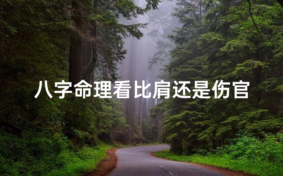 八字命理看比肩还是伤官-八字揭秘:比肩与伤官,命运走向的关键解析