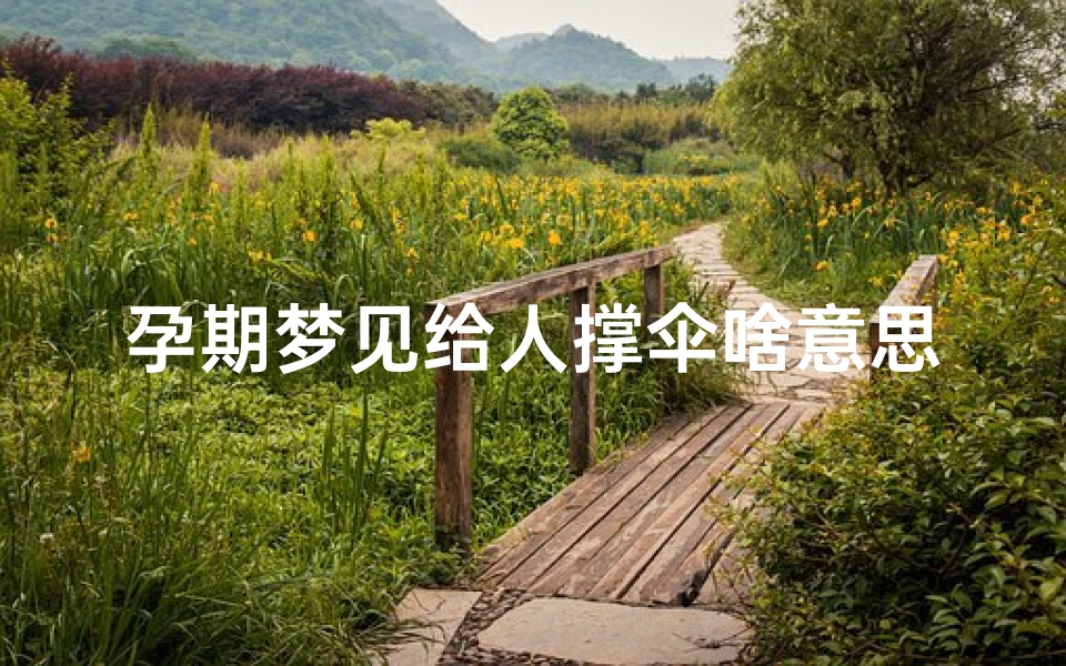孕期梦见给人撑伞啥意思—孕妇梦见撑伞在雨中走
