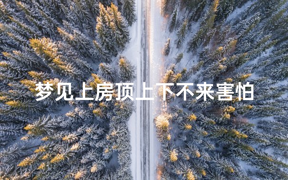 梦见上房顶上下不来害怕—梦见上到房顶了,怎么也下不去了
