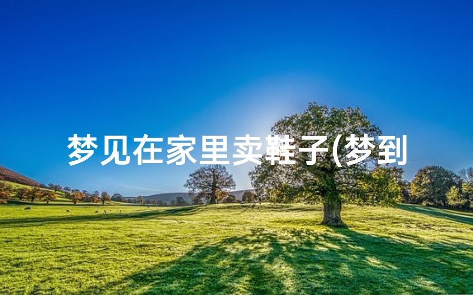 梦见在家里卖鞋子(梦到自己在卖鞋子)