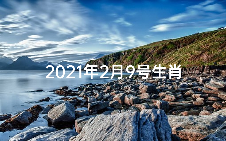 2021年2月9号生肖_2月9日生肖牛运势详解:好运连连,宜把握时机