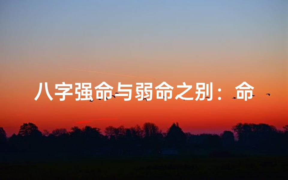 八字强命与弱命之别:命运差异解析