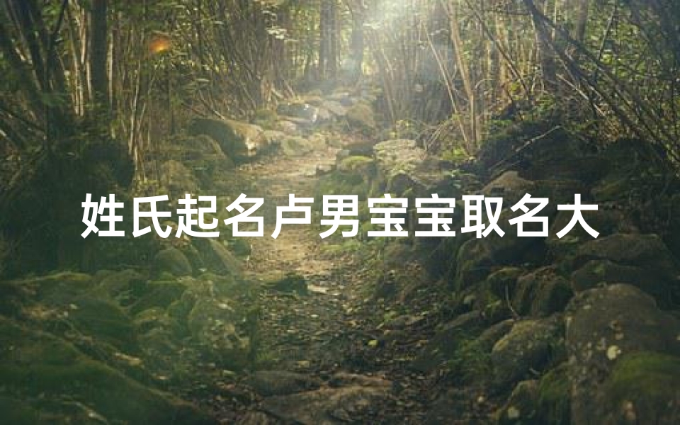 姓氏起名卢男宝宝取名大全