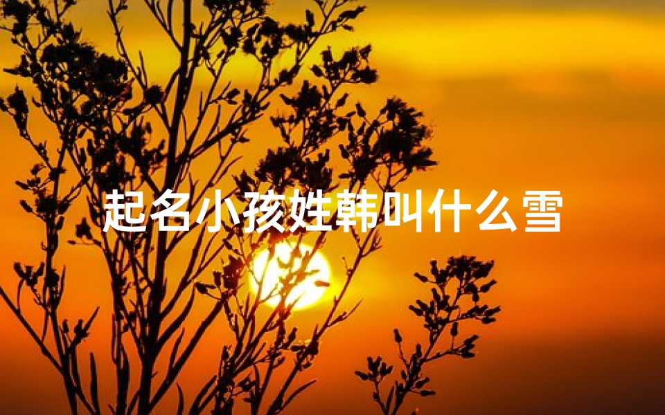 起名小孩姓韩叫什么雪-优贝算卦网
