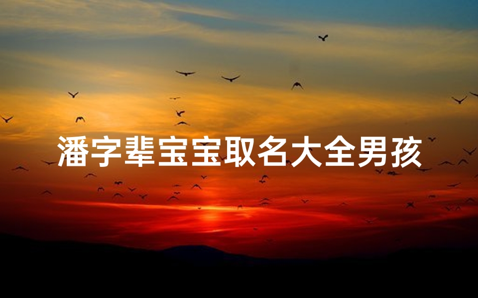 潘字辈宝宝取名大全男孩_《潘氏家族荣耀:精选潘字辈宝宝男孩取名大全》-优贝算卦网