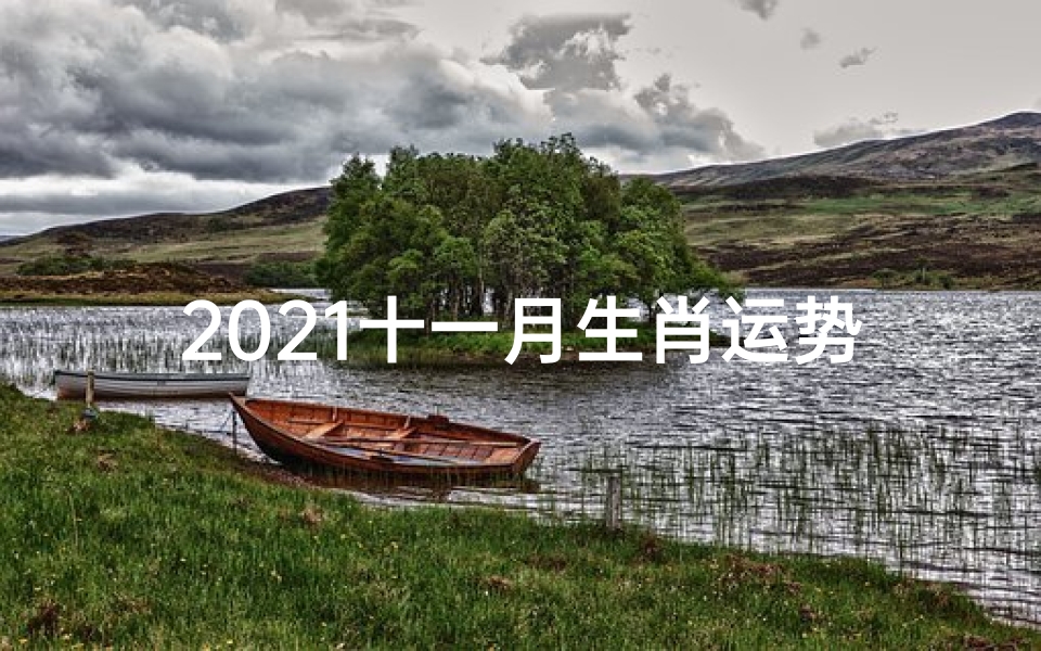 2021十一月生肖运势揭秘:运势起伏大揭秘