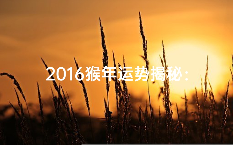 2016猴年运势揭秘：运势如何？
