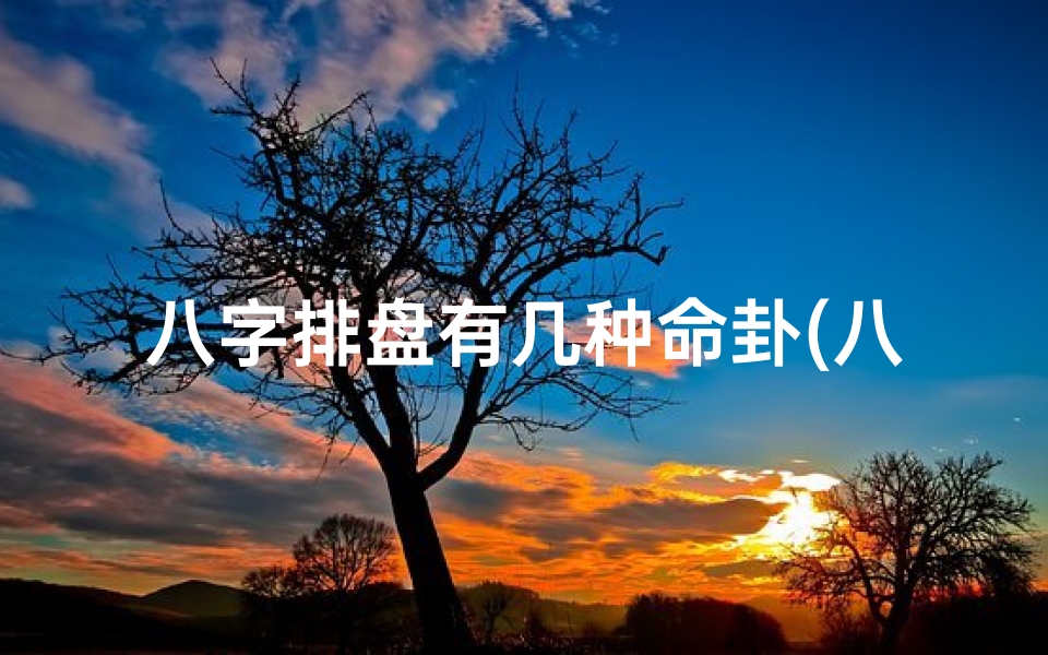 八字排盘有几种命卦(八字排盘揭秘:命卦多样,命运千变万化)