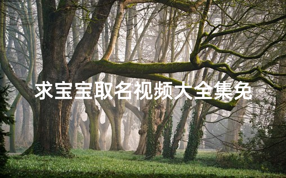 求宝宝取名视频大全集免费(《免费大公开求宝宝取名视频大全集》)