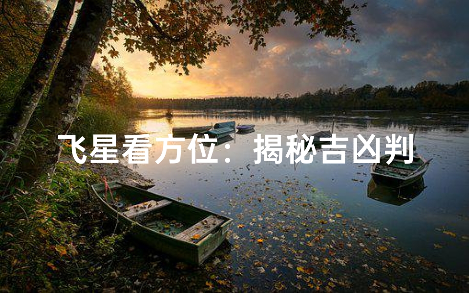飞星看方位:揭秘吉凶判断秘籍