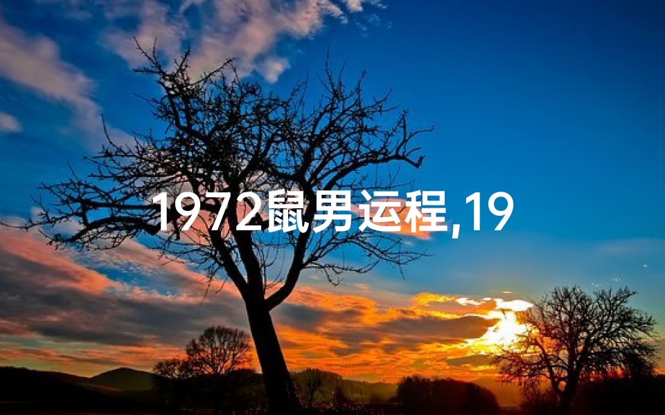 1972鼠男运程,1972年属鼠男性运势:财运亨通,事业辉煌