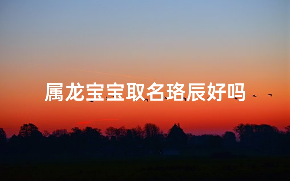 属龙宝宝取名珞辰好吗
