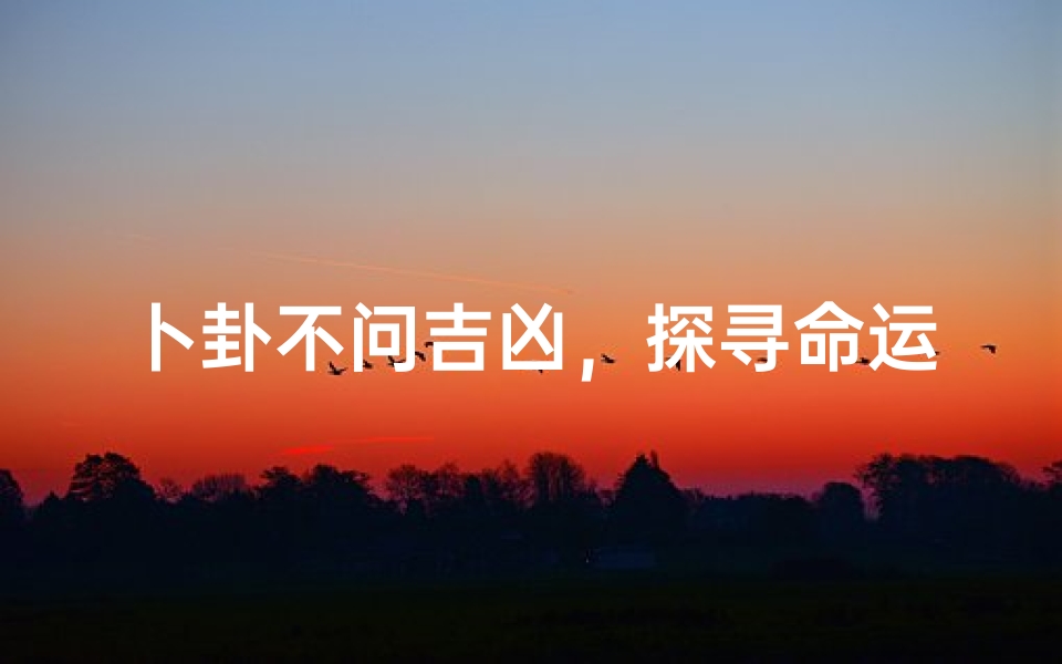 卜卦不问吉凶,探寻命运真谛
