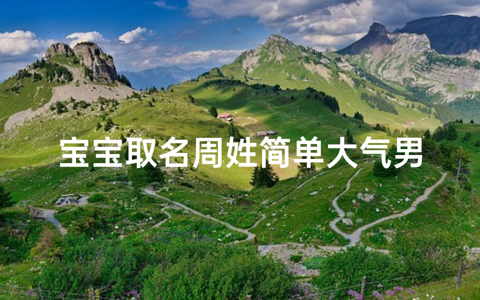 宝宝取名周姓简单大气男孩