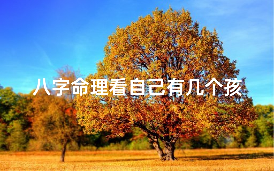 八字命理看自己有几个孩子—八字算命怎么看自己有几个小孩