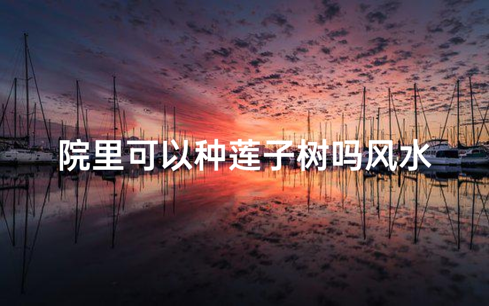 院里可以种莲子树吗风水—家里院子有莲子树风水好吗