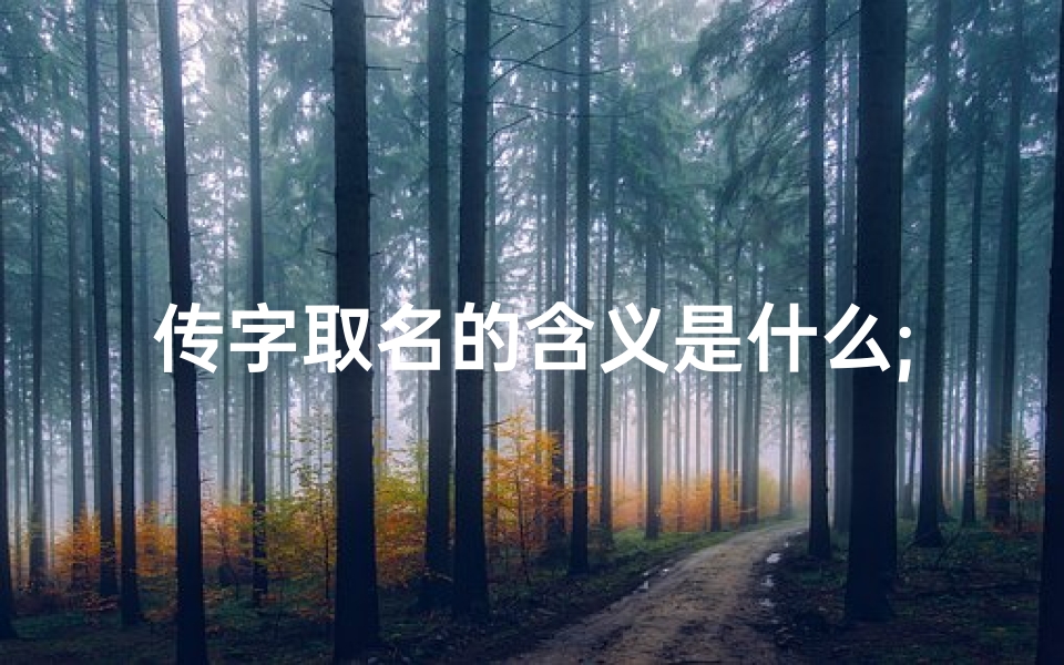 传字取名的含义是什么;《传承美好,传字寓意,为女宝宝起名,寓意深远》
