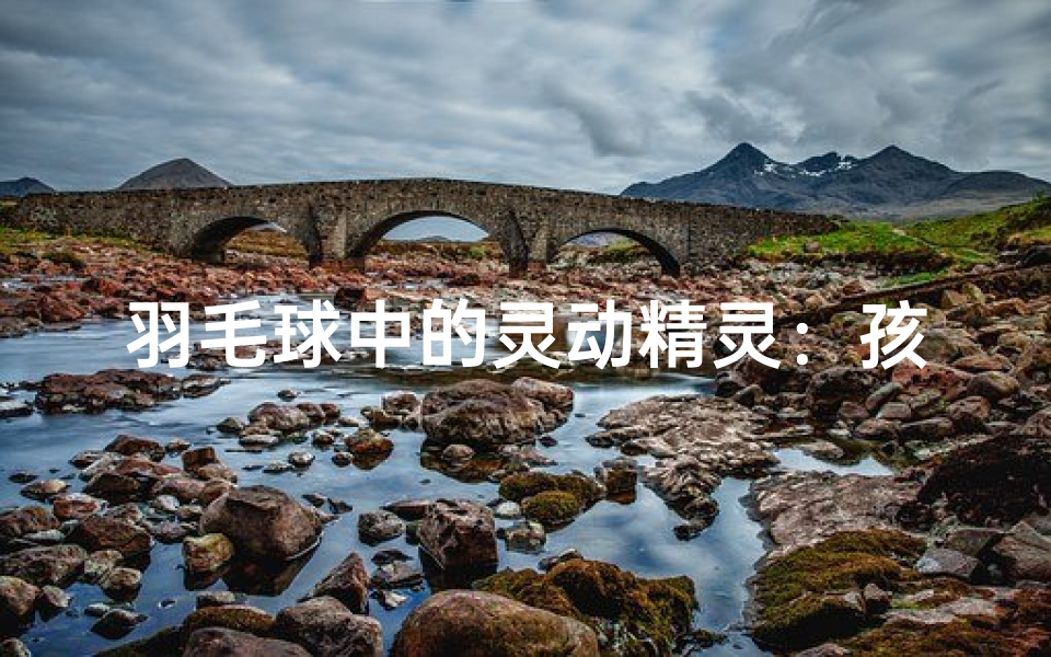 羽毛球中的灵动精灵:孩子名字新风尚