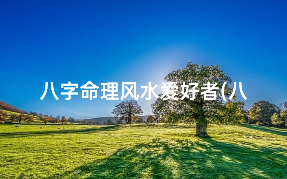 八字命理风水爱好者(八字风水达人:揭秘命理风水的奥秘与智慧)-优贝算卦网