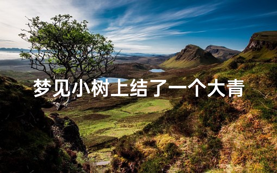 梦见小树上结了一个大青果,梦到树上结青果子