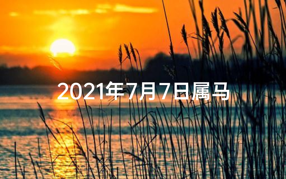 2021年7月7日属马人运势_7月7日生肖马运势:跃马扬鞭,好运连连