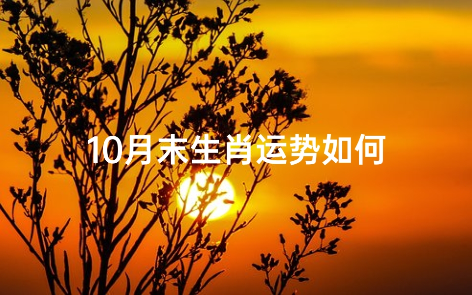 10月末生肖运势如何-优贝算卦网