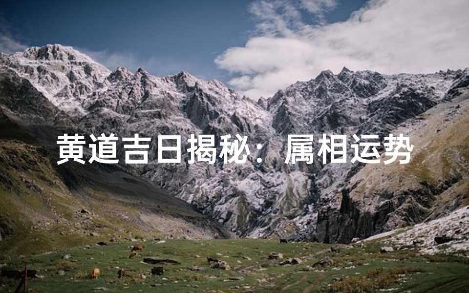 黄道吉日揭秘:属相运势大揭秘