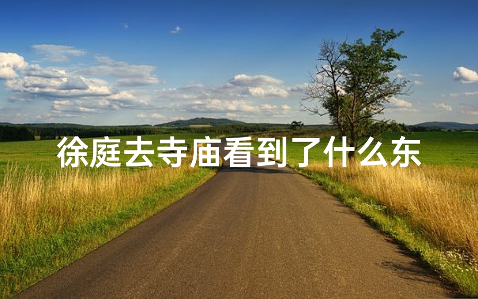 徐庭去寺庙看到了什么东西,书法家徐庭芳