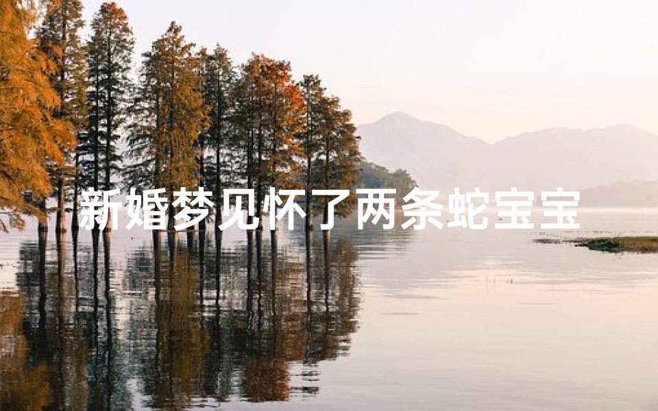 新婚梦见怀了两条蛇宝宝,梦见怀了一条蛇的孩子