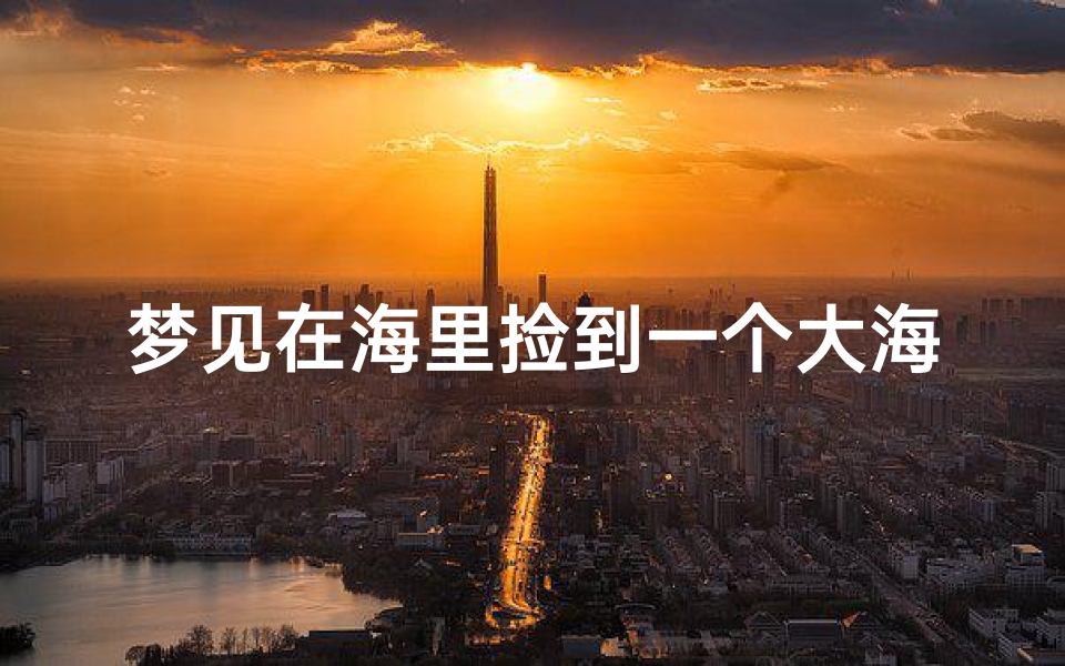 梦见在海里捡到一个大海螺;梦见在海里捡到一个大海螺是啥意思