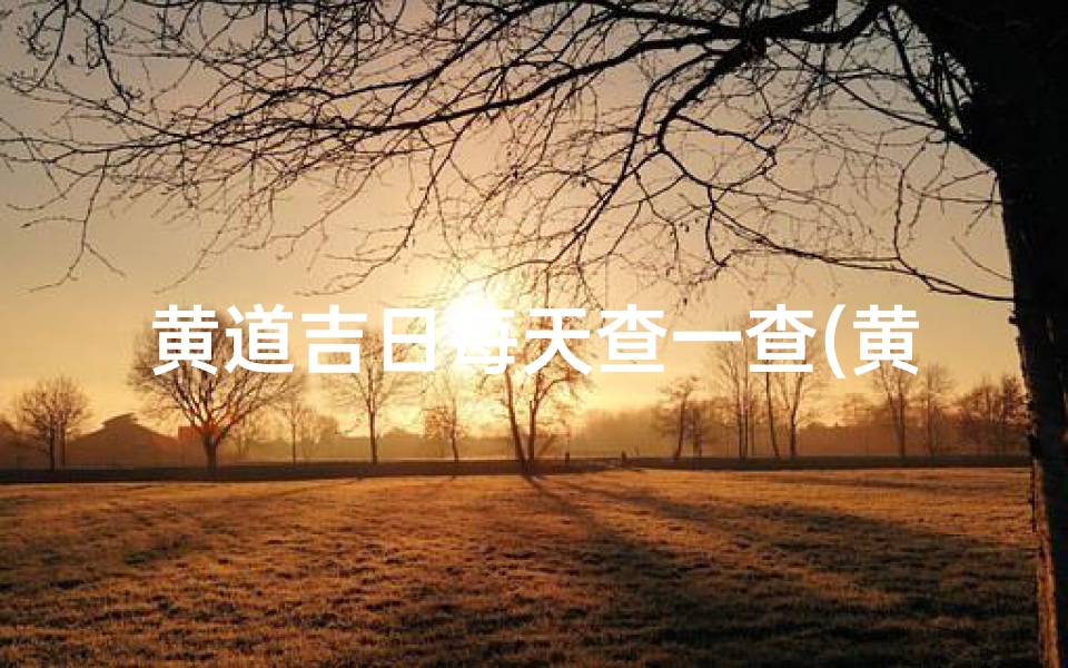 黄道吉日每天查一查(黄道吉日每日吉时:择日良辰,宜选良时)