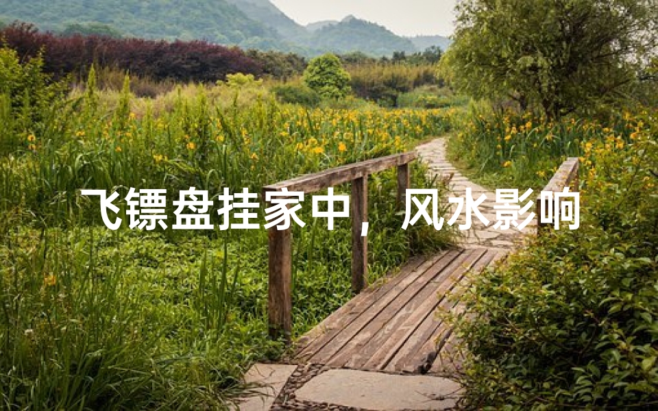 飞镖盘挂家中,风水影响知多少?